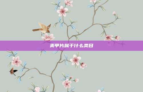 美甲片属于什么类目