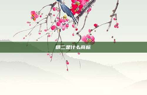 精二是什么商标