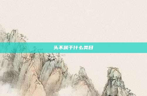 头不属于什么类目
