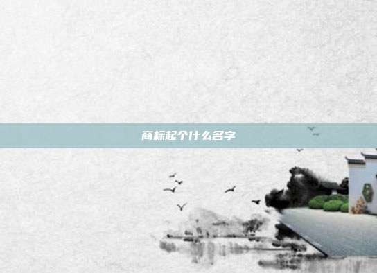 商标起个什么名字