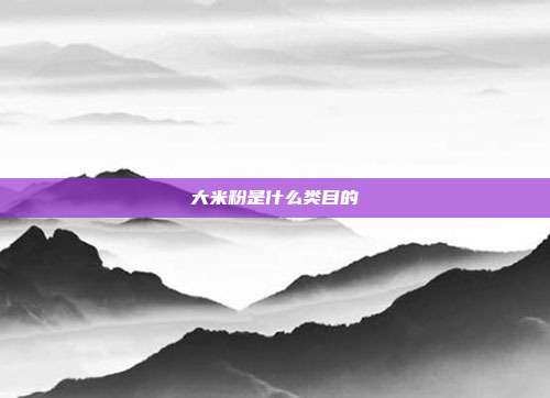大米粉是什么类目的