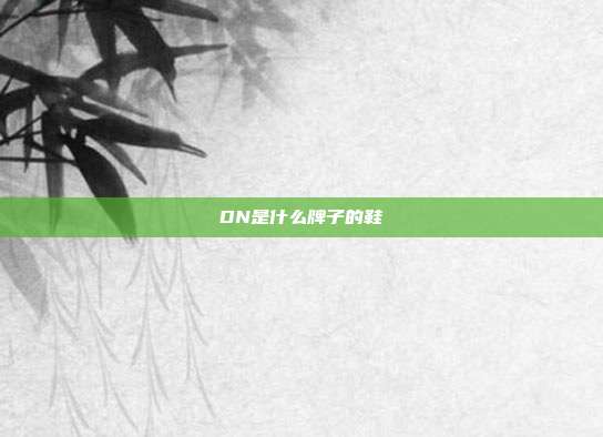 DN是什么牌子的鞋