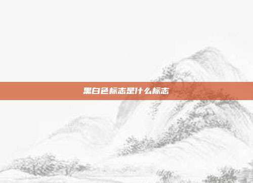 黑白色标志是什么标志