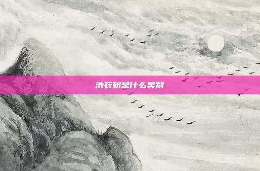 洗衣粉是什么类别