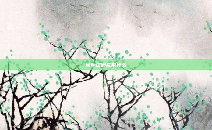 商标注册提供什么