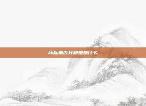 商标是否分割是是什么