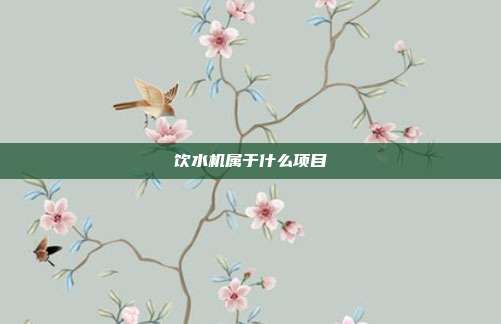 饮水机属于什么项目