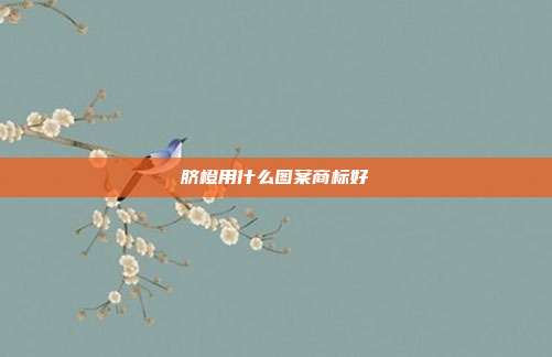脐橙用什么图案商标好