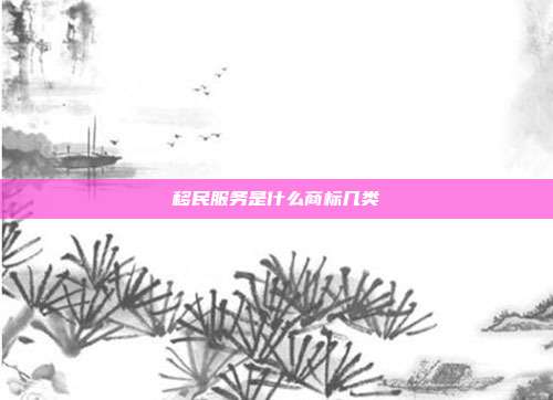 移民服务是什么商标几类