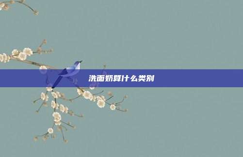 洗面奶算什么类别