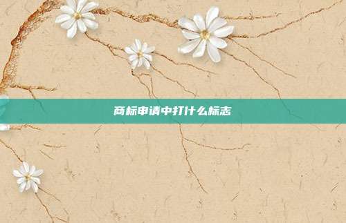 商标申请中打什么标志