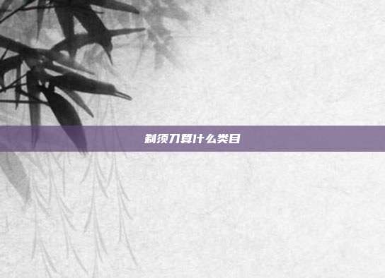 剃须刀算什么类目