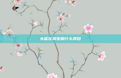 头盔在淘宝属什么类目