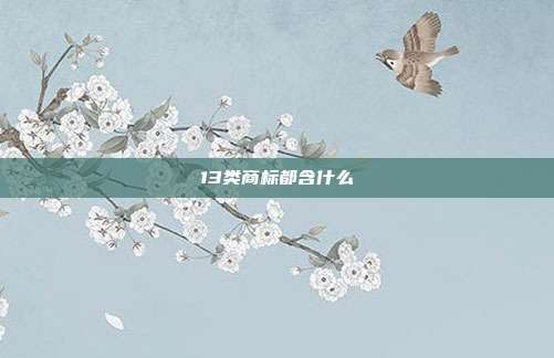 13类商标都含什么
