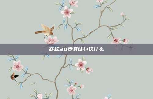 商标30类具体包括什么