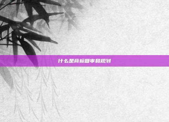 什么是商标复审和规划