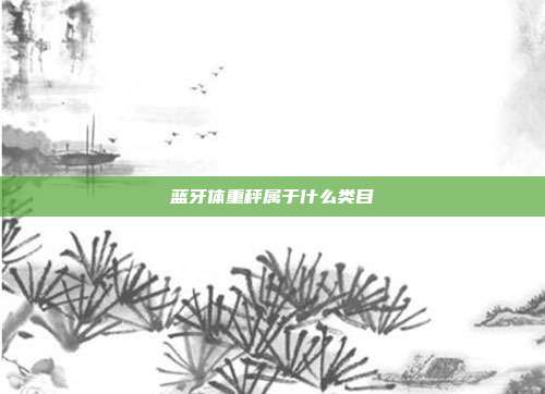 蓝牙体重秤属于什么类目