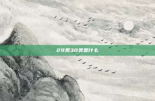 29类30类是什么