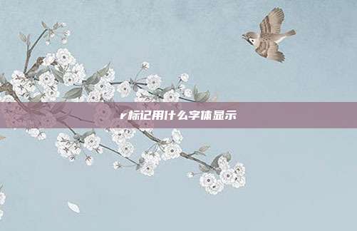 r标记用什么字体显示