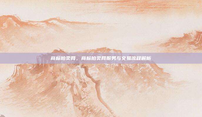 商标拍卖网,商标拍卖网服务与交易流程解析