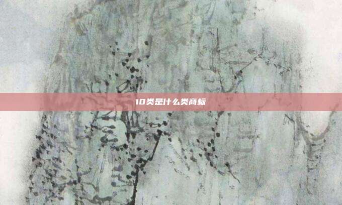 10类是什么类商标