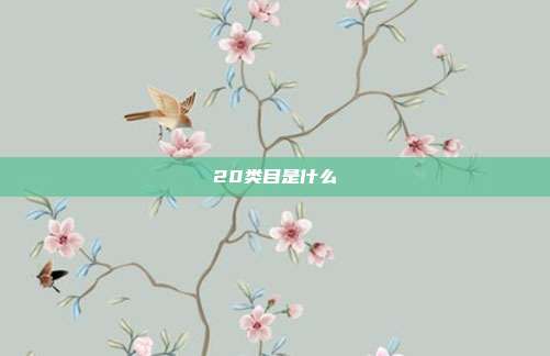 20类目是什么