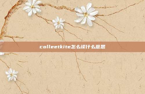 colleetkite怎么读什么意思