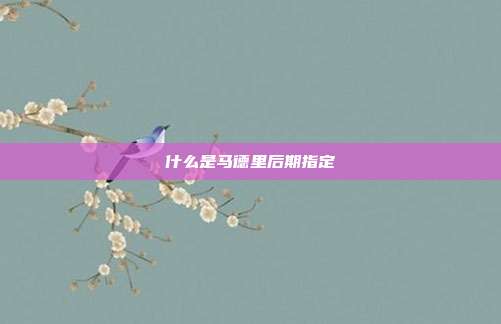 什么是马德里后期指定