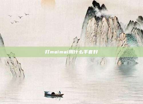 打maimai用什么手套好