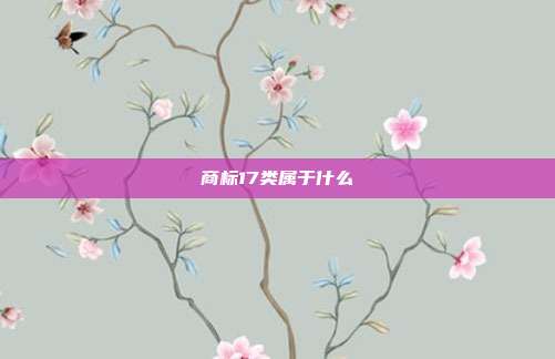 商标17类属于什么