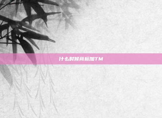 什么时候商标加TM