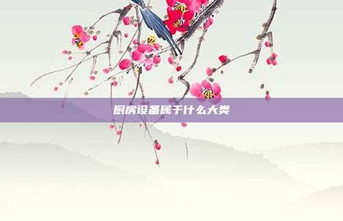 厨房设备属于什么大类