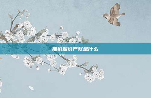 推销知识产权是什么