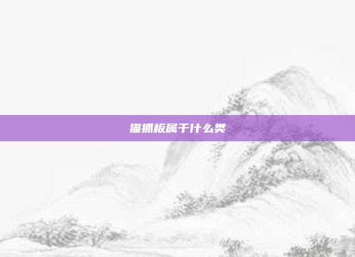 猫抓板属于什么类