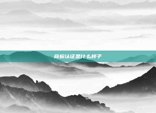 商标认证是什么样子
