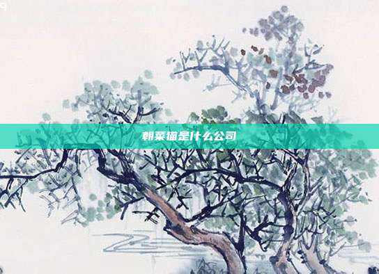 朝菜猫是什么公司
