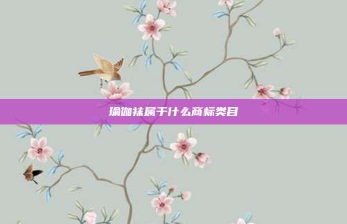 瑜伽袜属于什么商标类目