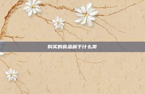 购买的食品属于什么类