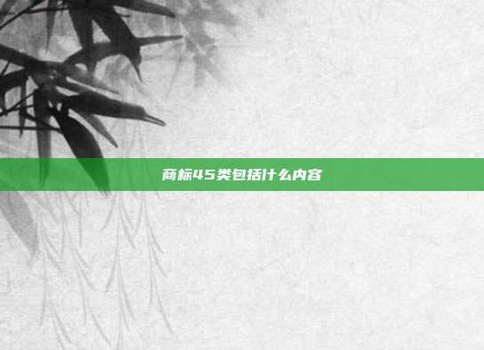 商标45类包括什么内容