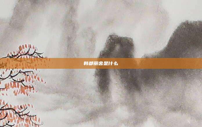 韩都丽舍是什么