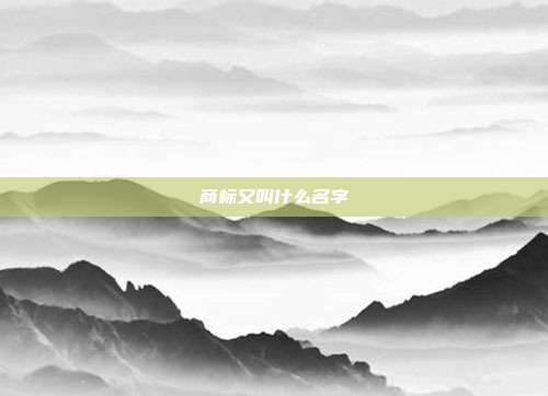 商标又叫什么名字