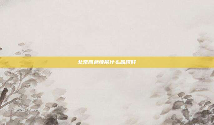 北京商标续展什么品牌好