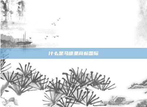 什么是马德里商标国际