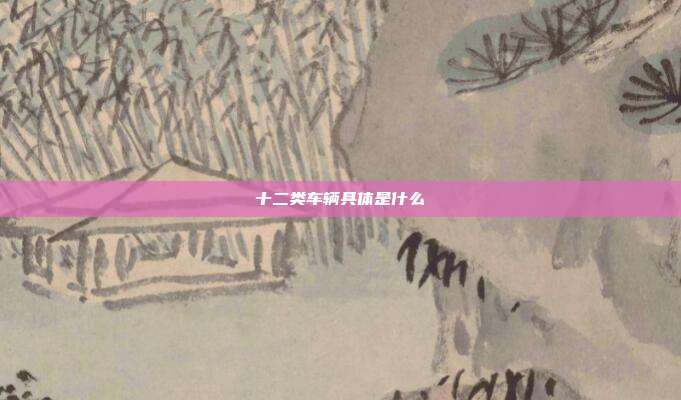 十二类车辆具体是什么
