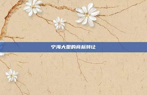 宁海大型的商标转让
