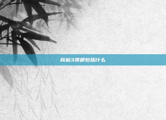 商标3类都包括什么