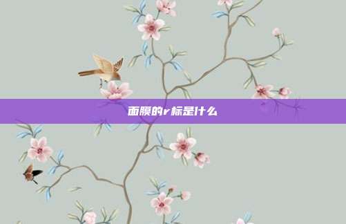 面膜的r标是什么