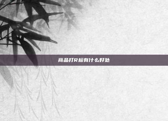 商品打R标有什么好处
