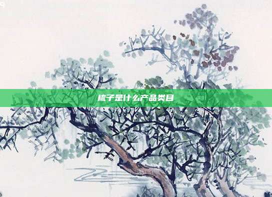 梳子是什么产品类目