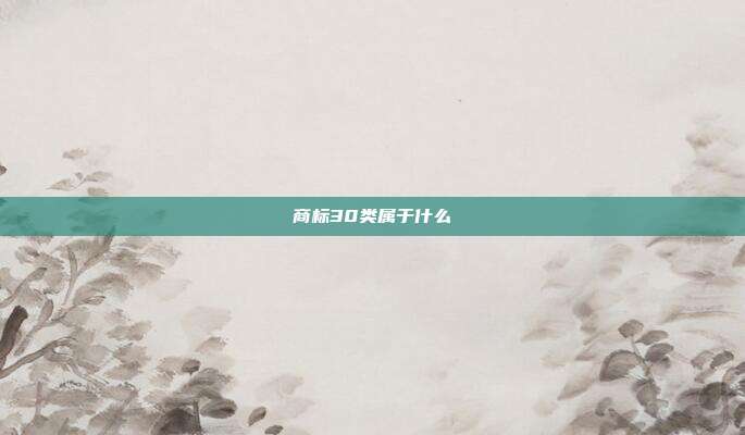 商标30类属于什么